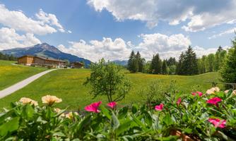 An idyllic landscape with colorful flowers in the foreground and green meadows in the background. In the background, there are mountains and a blue sky with some clouds visible.