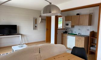 A modern living kitchen with a dining area, a sofa, and a television. The kitchen is well-equipped and has plenty of natural light.