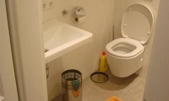A small bathroom with a toilet and a sink. A colorful rug is on the floor and a trash can stands in the corner.