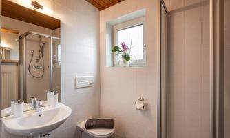 A modern bathroom with a shower, a sink, and a window. The decor is bright and friendly, with a plant as a decorative element.