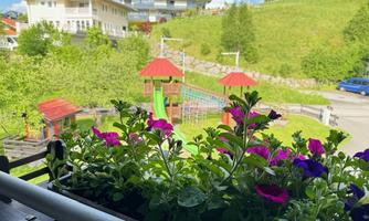 IMG_0105 - Kopie (2)