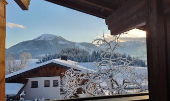 Kaiserwinkl_Biohof Lanz_Kössen_Vikoler (3)