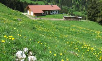 Kaiserwinkl, Walchsee, Goglalm 1