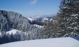 Kaiserwinkl, Walchsee, Goglalm 8