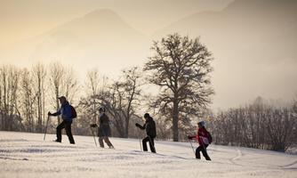 winter hiking, ski touring, snowshoeing