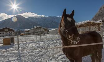 Travolta is enjoying the winter sun