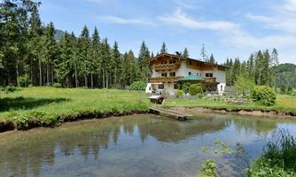 Eigener Teich und viel Grün ums Haus