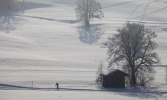 7432_BB_Kaiserwinkl-Langlaeufer