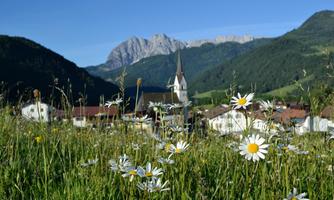 Schwendt mit Kaiserblick