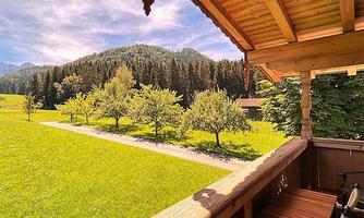 IMG-20220726-WA0009 (3)