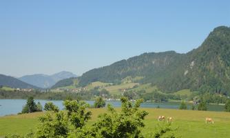 Seeblick