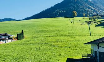 Living 9, Blick Terrasse, Bergpanorama