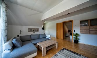 Wohn-Schlafzimmer2_Apartment_Tinney