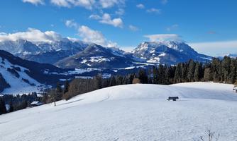 20241123_100508 (002)