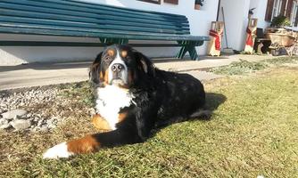 Sammys Lieblingsplatz