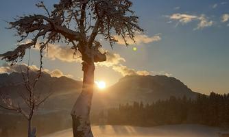 Späte Sonnenstrahlen