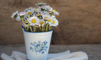 Grünbachhof, Fewo, Kaiserwinkl