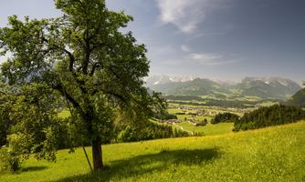 Kaiserwinkl_Sommerurlaub_Landschaft (24)