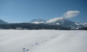 Wilder Kaiser und Loipe vor dem Haus