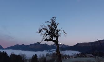 Im Tal der Nebel - Ausblick vom Balkon