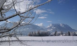 Ausblick Unterberg Ferienwohnung Waldesruh