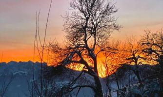 Screenshot_20221219-212115_WhatsApp