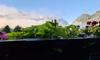 Aussicht Haus Bergblick