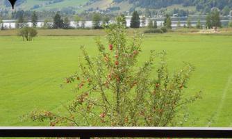 Blick vom Balkon auf den Walchsee