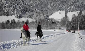 Winterwandern oder Reiten