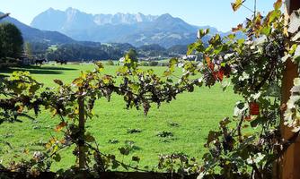 Haus Florian_Kaiserwinkl_Kössen (4)