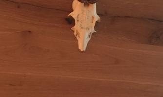 Am Berg Living 9, Interior