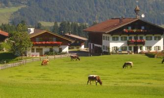 Bauernhof Ellmerer - Familie Mühlberger