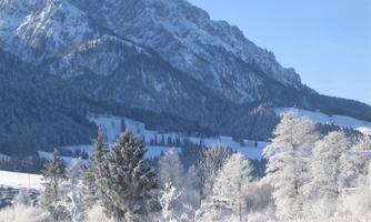 DER ZAHME KAISER IM WINTERKLEID