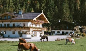 Sommer Aussenansicht3