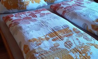 House Brigitte Exenberger_bedroom