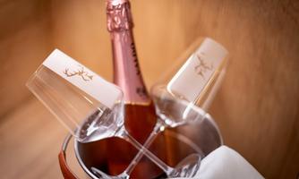 Penthouse_Bergseetraum_Johannes_Strasse_5_Walchsee