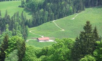 Kaiserwinkl, Walchsee, Goglalm 4