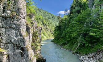 5E1F2FDE-A631-4B4C-BF85-60F2710C04A8