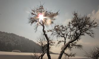 !cid_EFDA81A5-5B93-4887-9F6E-FA7255D09717