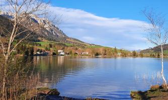 Walchsee
