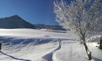 Skispur zum Chalet Glockenhof