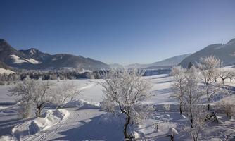Ausblick auf Loipe und Walchsee