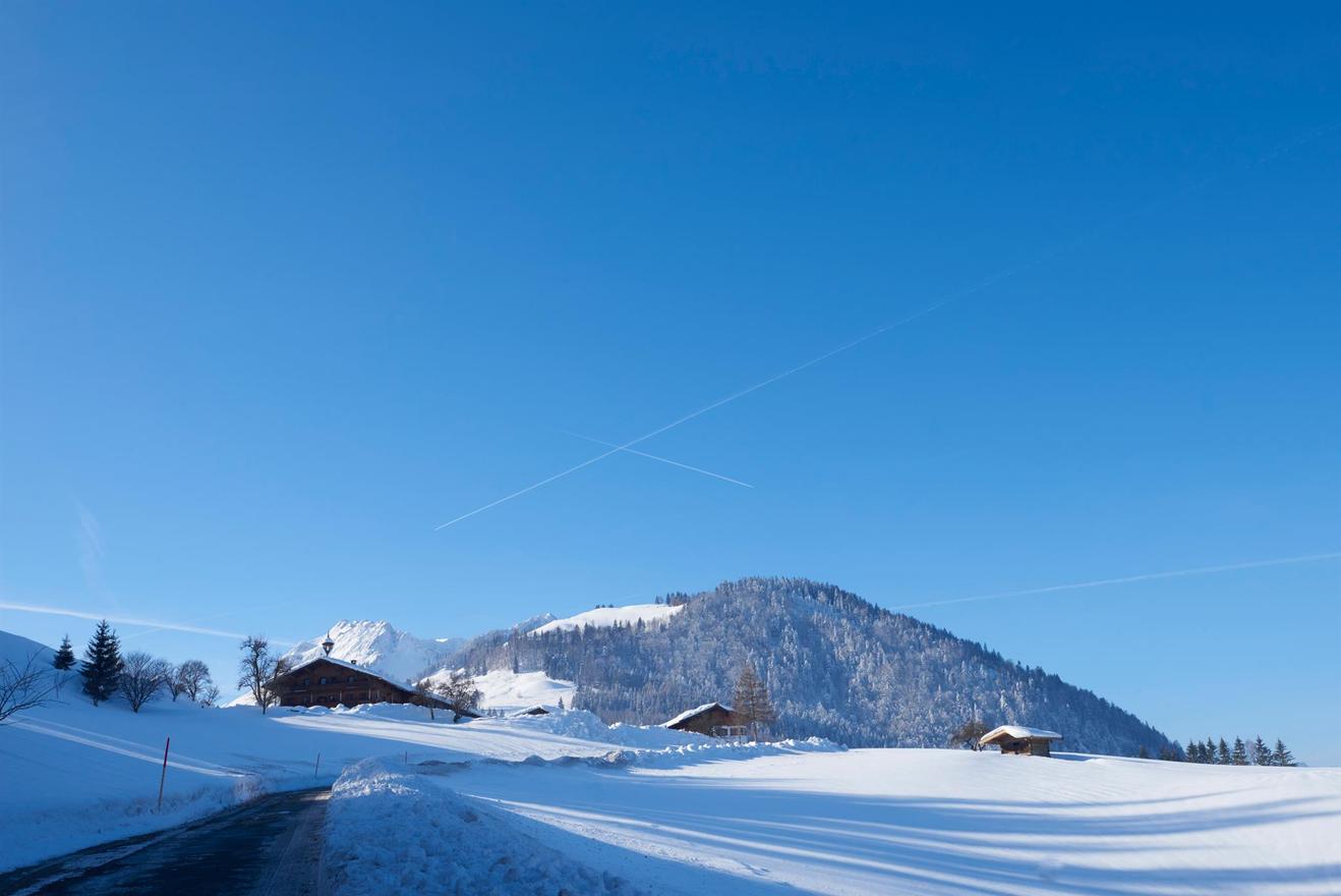 Appartementhaus Holzenhof