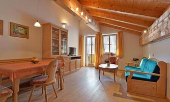 App. Feldberg - Wohnraum