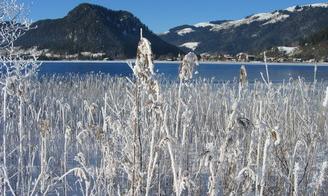 Winter am See