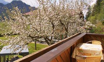 gemütliches Plätzchen am Balkon App. Morgenrot