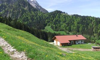 Kaiserwinkl, Walchsee, Goglalm 3