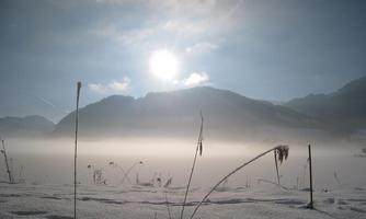 Winterstimmung im Kaiserwinkl
