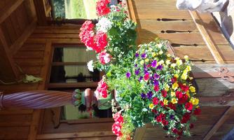 Ferienwohnungen Fahringer Diana