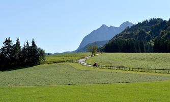 Ausblick vom Ellmererhof Richtung Wilder Kaiser